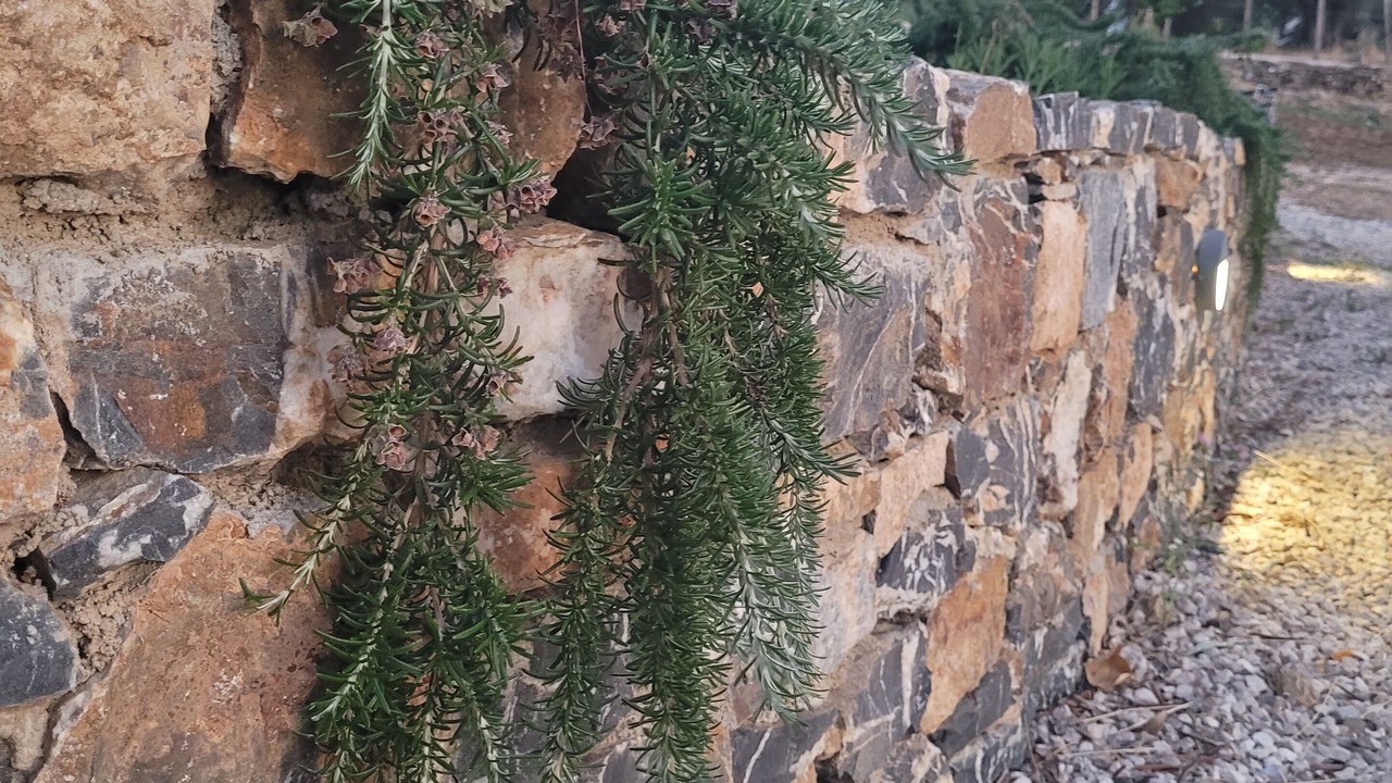 Photo of Outdoor in Ascea