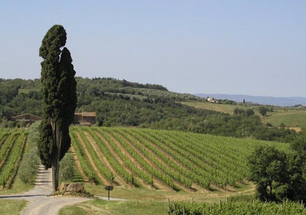 Photo of Outdoor in Castelnuovo Berardenga