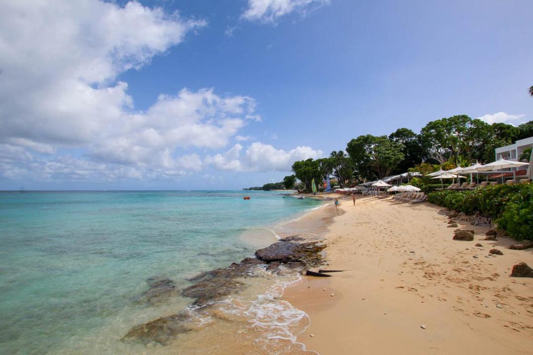 Photo of Others in Old Trees Bay