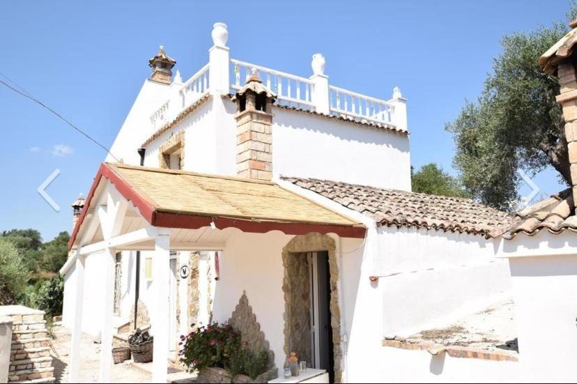 Photo of Others in Pisticci