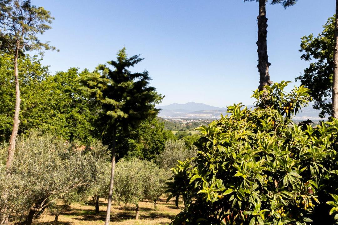 Photo of Others in Albanella