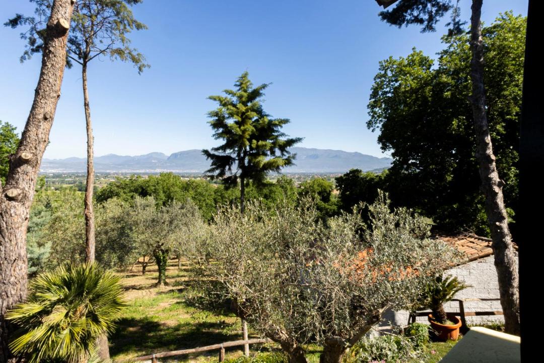 Photo of Others in Albanella