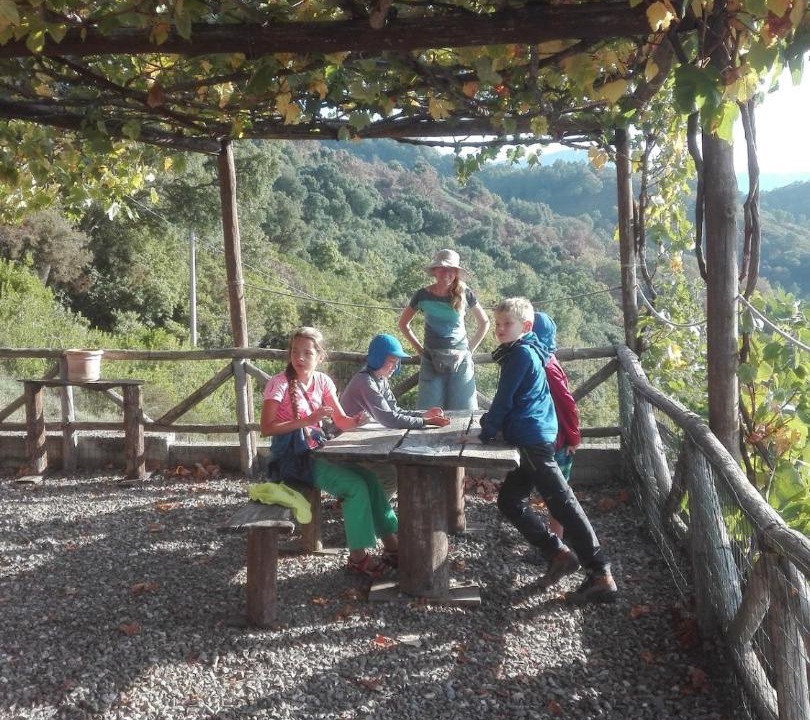 Photo of Others in Vibonati