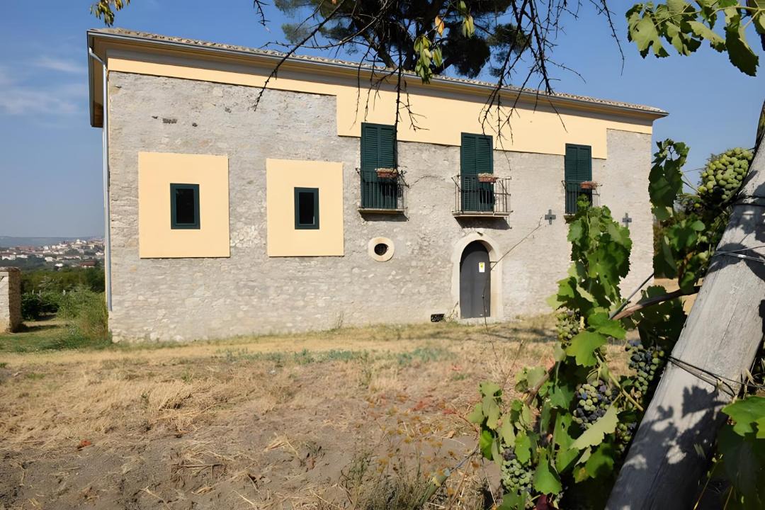 Photo of Others in Paternopoli