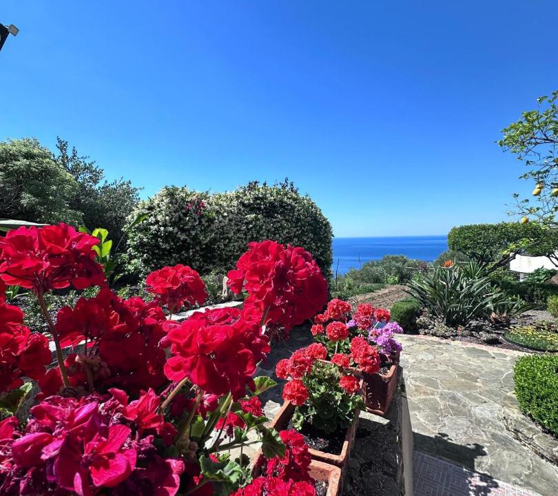 Photo of Others in Marina di Pisciotta
