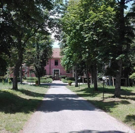 Photo of Others in Atella