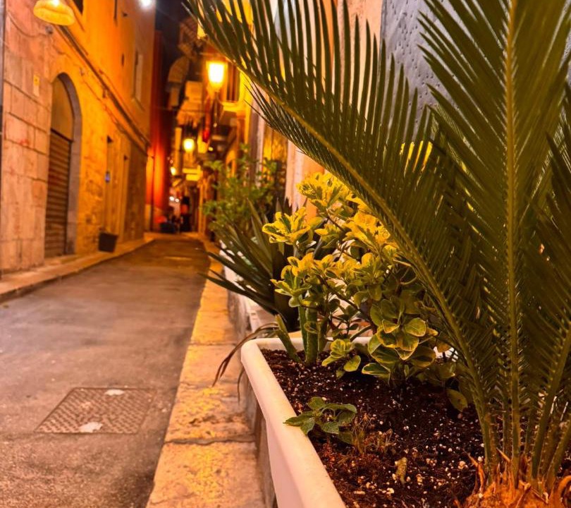 Photo of Others in Barletta