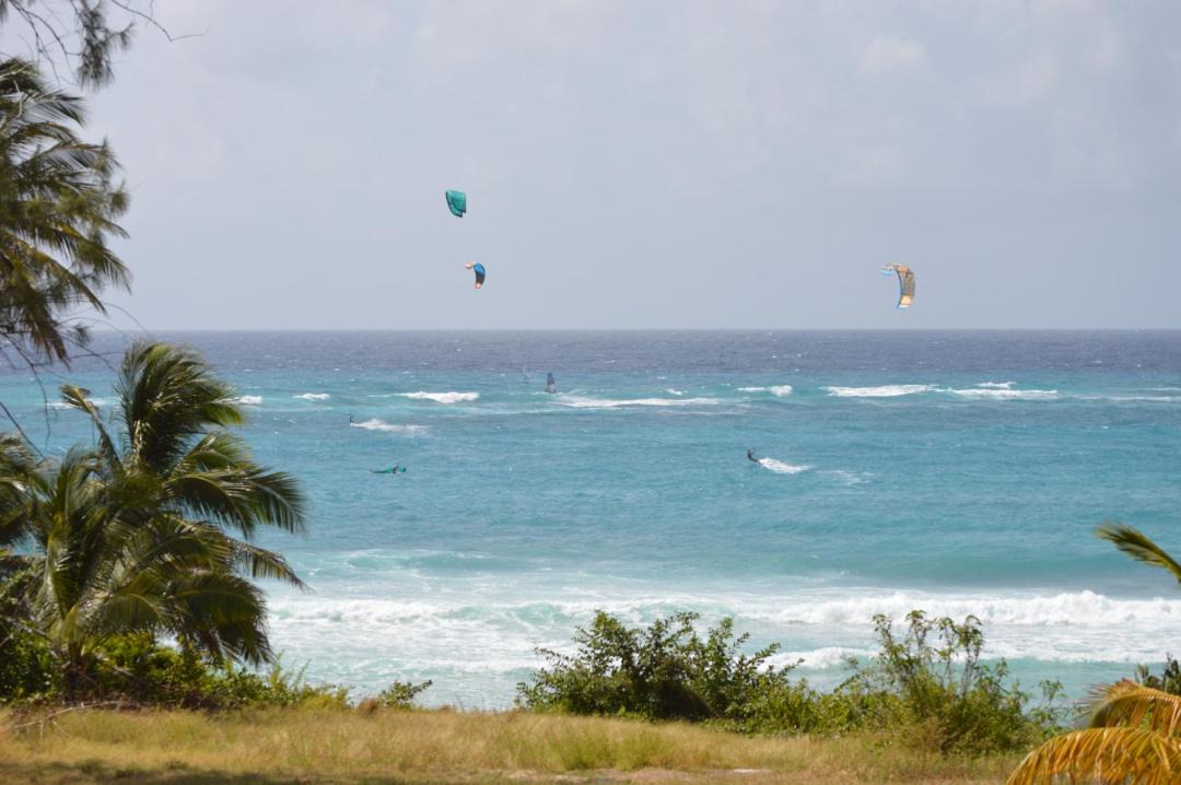 Photo of Others in Silver Sands