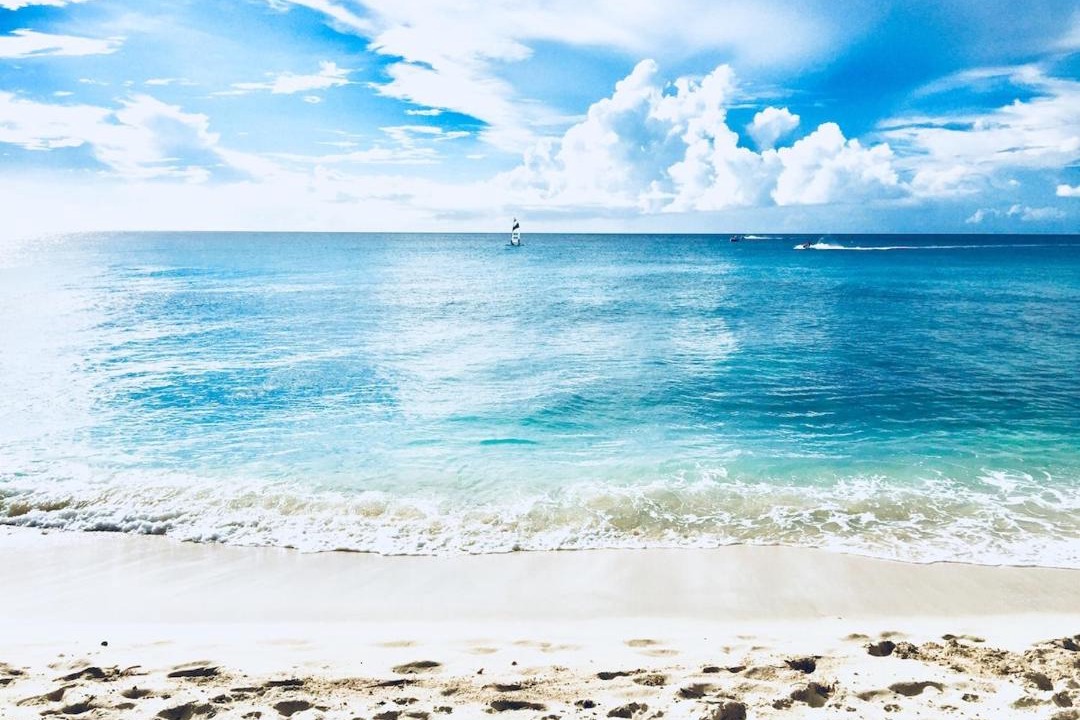 Photo of Others in Prospect