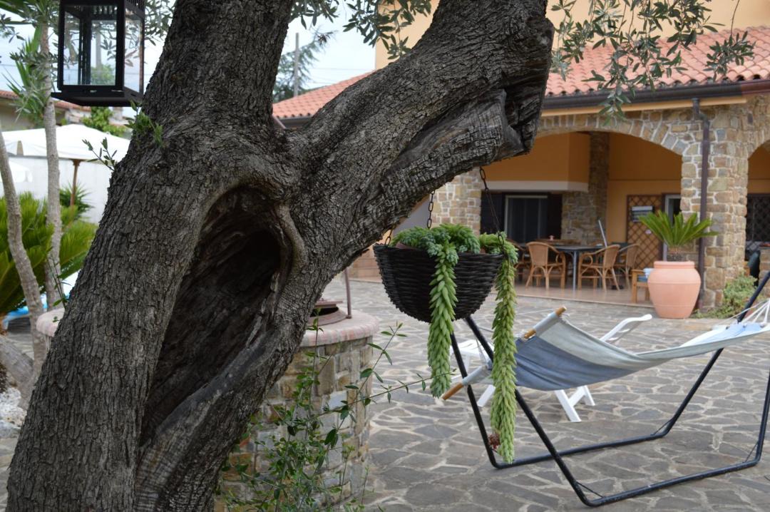Photo of Others in Montecorice