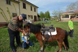 Photo of Others in Ascea