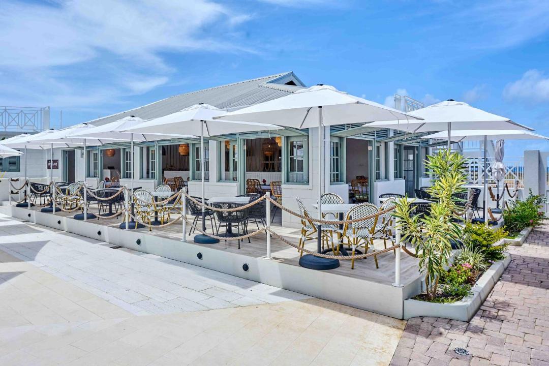 Photo of Others in Green Garden