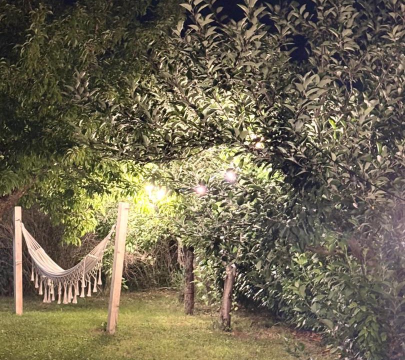 Photo of Others in Albanella