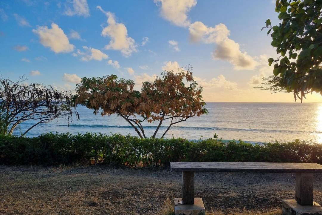 Photo of Others in Atlantic Shores