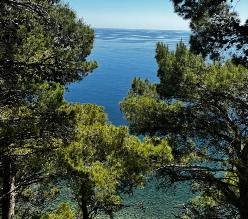 Photo of Others in Montecorice