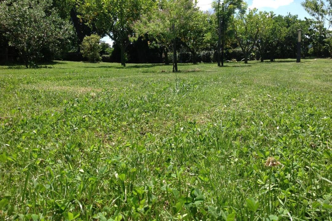Photo of Others in Altavilla Silentina