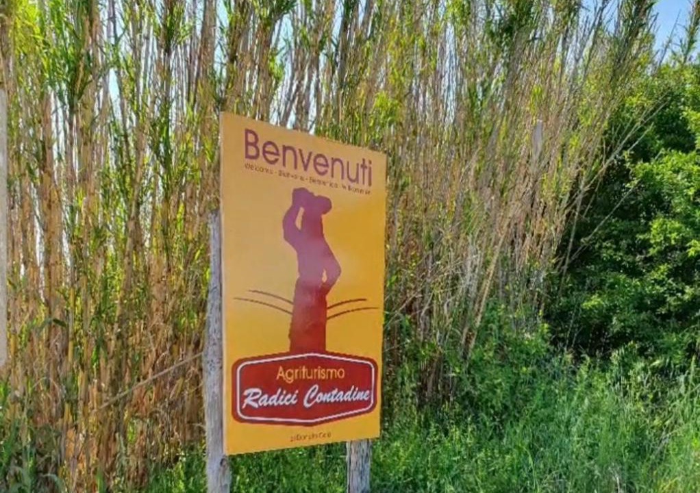 Photo of Others in Bisaccia