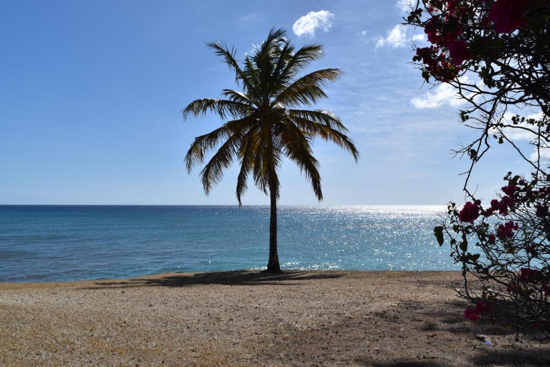 Photo of Others in Atlantic Shores
