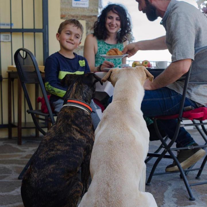 Photo of Others in Collesalvetti