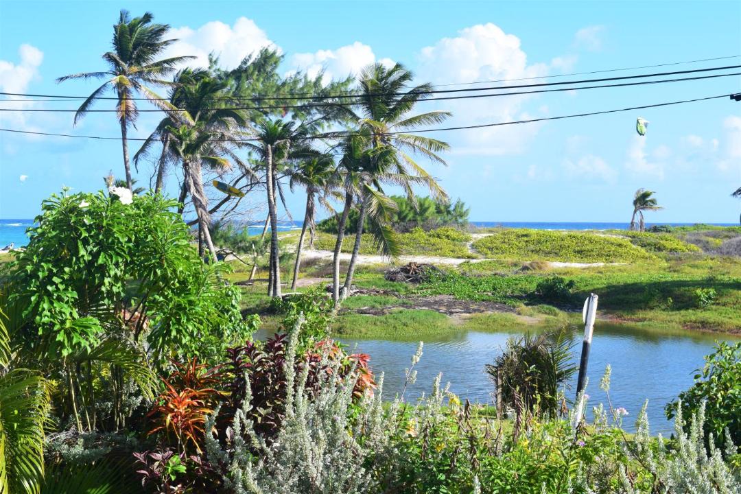 Photo of Others in Silver Sands