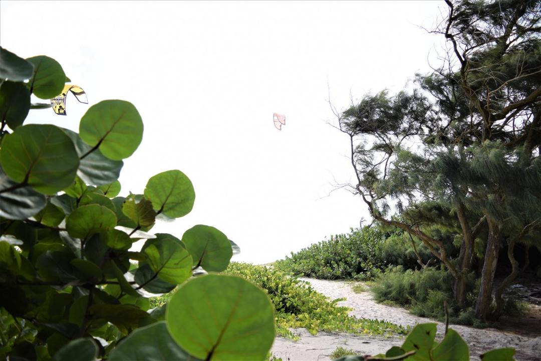 Photo of Others in Silver Sands