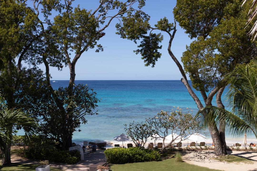 Photo of Others in Old Trees Bay