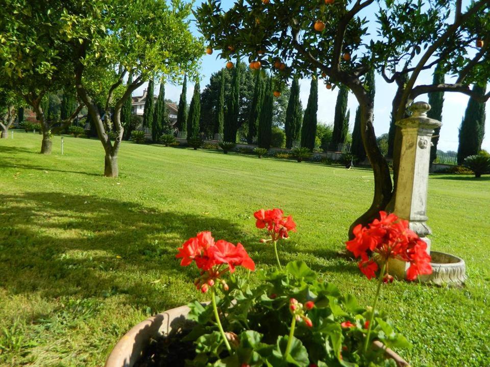 Photo of Others in Altavilla Silentina