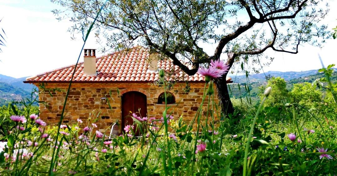 Photo of Others in Laureana Cilento