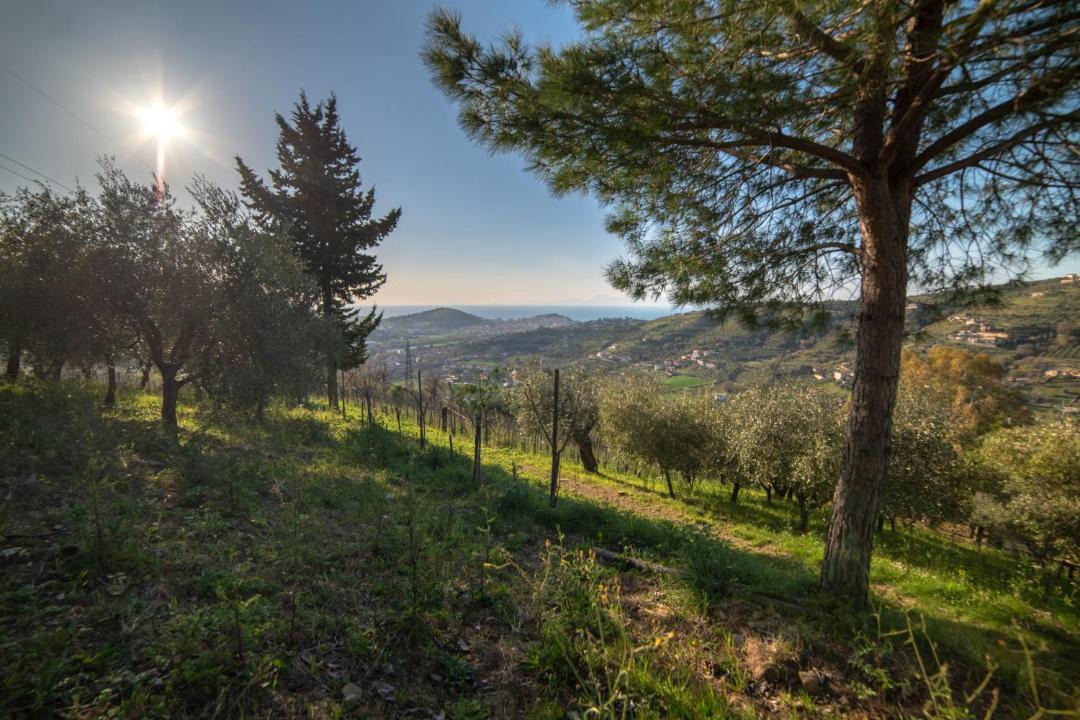 Photo of Outdoor in Frascinelle