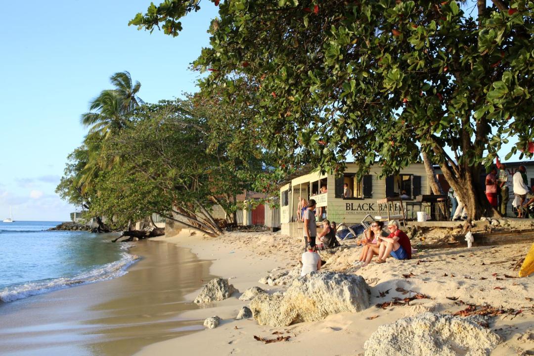 Photo of Others in Weston