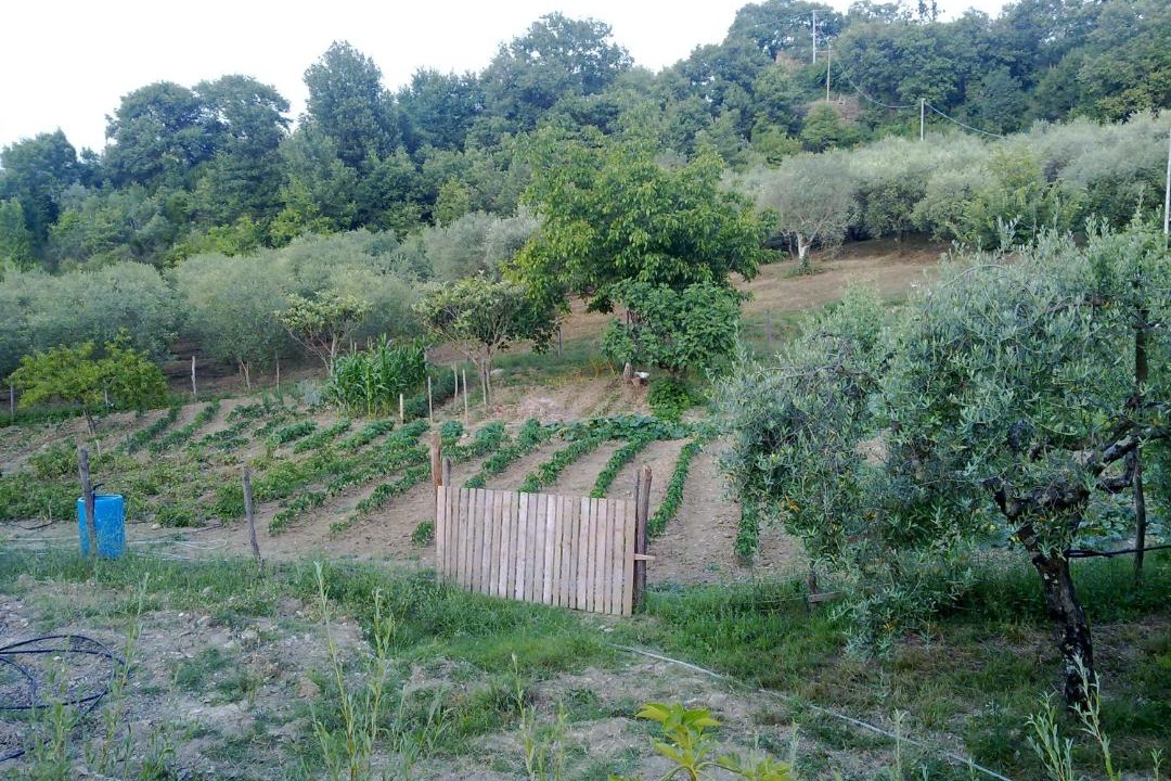 Photo of Others in Felitto