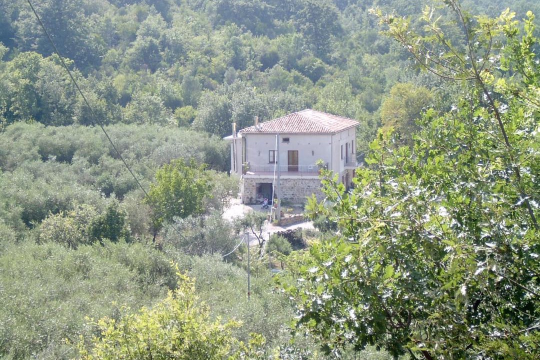 Photo of Others in Felitto