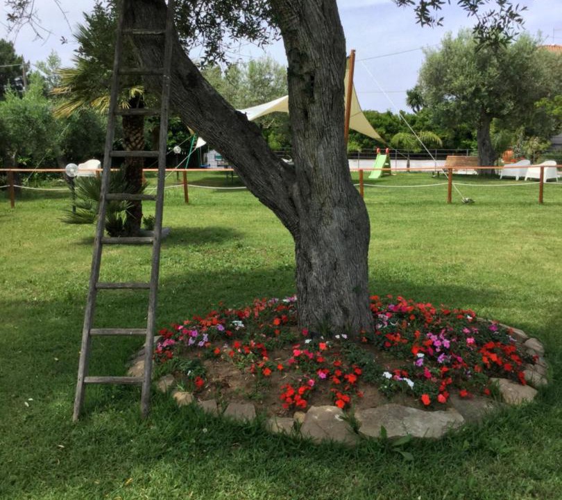 Photo of Outdoor in San Marco di Castellabate