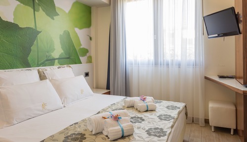 Double or Twin Room