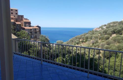 Marina di Pisciotta House | I fiori di donna ester