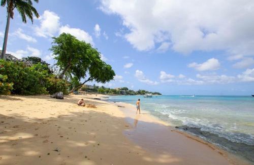 Old Trees Bay Apartment | Stunning 2-bed Beachfront Condo on Paynes Bay