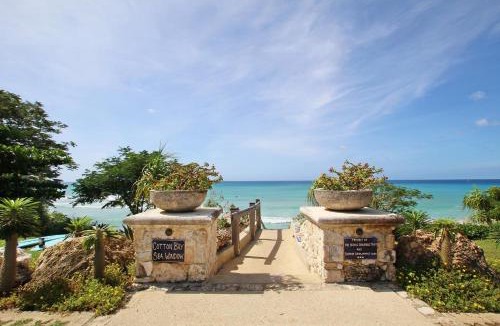 Green Garden Apartment | Oceanfront 1-bed Apt with Pool near Surfing - Rosalie 2