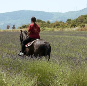 Bovino House | Agriturismo Agricampeggio Piana delle Mandrie