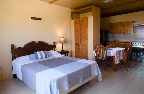 Green Garden Apartment | Esaw Place