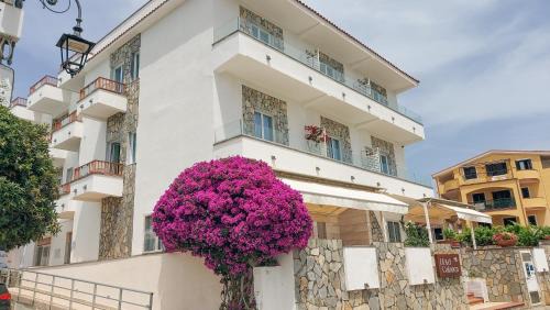 Marina Di Camerota Hotel | Hotel Calanca