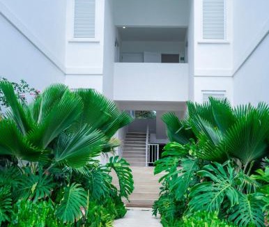Mullins Apartment | Mullins Grove