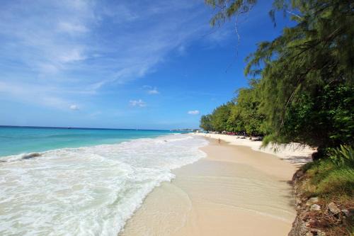 Oceanfront 1-bed Apt with Pool near Surfing - Rosalie 2