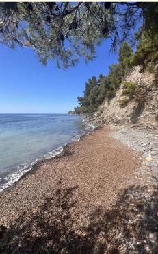 Minnelea Beach House