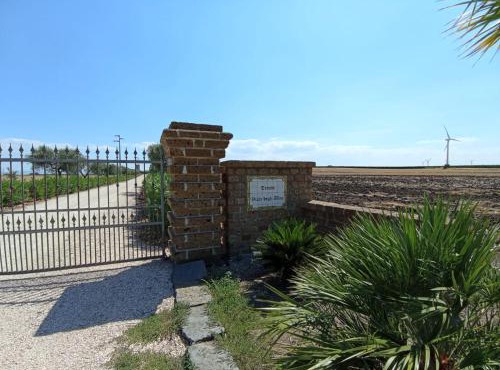 Tenuta viale degli ulivi